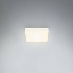 LED mennyezeti lámpa Flame, 15,7 x 15,7 cm, fehér