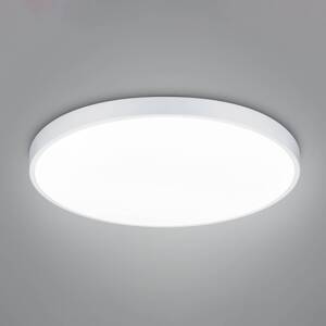 LED mennyezeti lámpa Waco, CCT, Ø 75 cm, matt fehér
