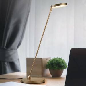 LED asztali lámpa Thea-T, bronz