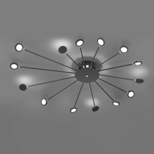 LED mennyezeti lámpa Peacock, 15 égős, fekete