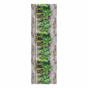 Aromatica barna-zöld futószőnyeg, 58 x 140 cm - Floorita