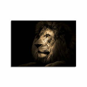 Üveg kép 70x100 cm Lion - Styler
