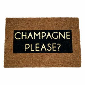 Champagne Glitter természetes kókuszrost lábtörlő, 40 x 60 cm - Artsy Doormats
