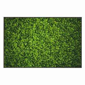 Ivy zöld szőnyeg, 140 x 220 cm - Oyo home