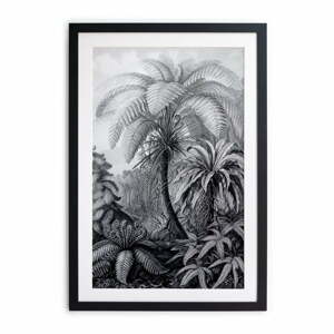 Palm fekete-fehér plakát, 60 x 40 cm - Surdic