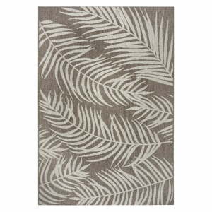 Palmera barna-bézs kültéri szőnyeg, 160 x 230 cm - NORTHRUGS
