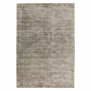 Barna szőnyeg 230x160 cm Blade - Asiatic Carpets