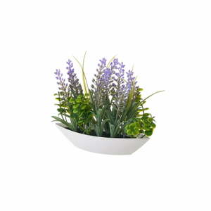 Művirág Lavender – Casa Selección