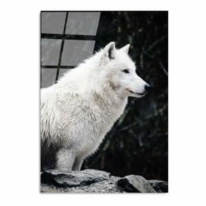 Üveg kép 70x100 cm White Wolf – Wallity