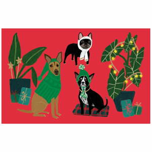 Karácsonyi üdvözlőkártya készlet 5 db-os Cat and Dog Palais - Roger la Borde