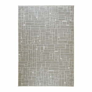 Szürke-bézs szőnyeg 80x150 cm Jaipur – Webtappeti