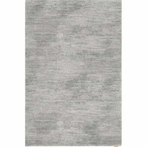 Szürke gyapjú szőnyeg 200x300 cm Fam – Agnella