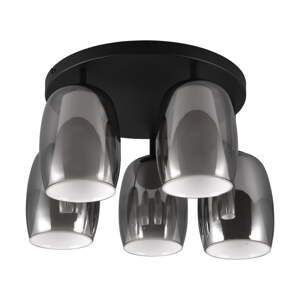 Fekete-ezüstszínű mennyezeti lámpa üveg búrával ø 14 cm Barret – Trio Select