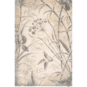 Krémszínű gyapjú szőnyeg 300x400 cm Botany – Agnella