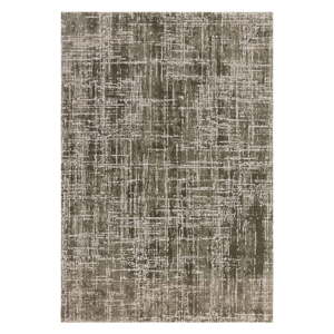 Khaki szőnyeg 80x150 cm Kuza – Asiatic Carpets