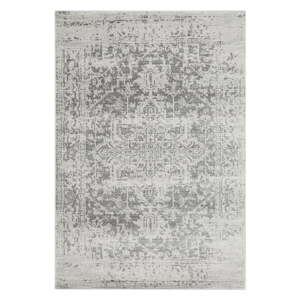Szürke szőnyeg 80x150 cm Nova – Asiatic Carpets