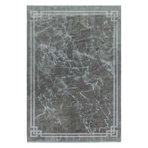Szürke szőnyeg 120x180 cm Zehraya – Asiatic Carpets