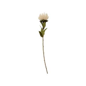 Művirág (magasság 60 cm) Protea – PT LIVING