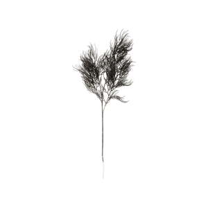 Műnövény (magasság 86 cm) Asparagus Fern – PT LIVING