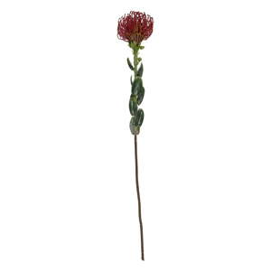 Művirág (magasság 73 cm) Protea – PT LIVING