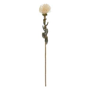 Művirág (magasság 73 cm) Protea – PT LIVING